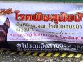 เตือน! เฝ้าระวังโรคพิษสุนัขบ้า 7พื้นที่ กทม.