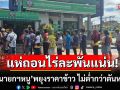 ชาวนาแห่ถอนไร่ละพัน ยาวเหยียดเงินหมดตู้ วอน\'นายกฯหนู\'พยุงราคาข้าว ไม่ให้ต่ำกว่าตัน 15,000 บาท