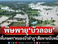 พายุ‘บัวลอย’ถล่ม‘หนองบัวลำภู’ พื้นที่เกษตรเสียหายนับหมื่นไร่ กระทบ 1,090 ครัวเรือน