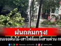 ฝนถล่มกรุง! เตือนประชาชนเจอต้นไม้-เสาไฟล้มแจ้งสายด่วน กทม.