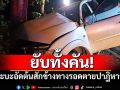 กระบะเสียหลัก! อัดต้นสักข้างทาง รถเละทั้งคันรอดตายราวปาฎิหารย์