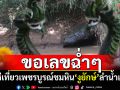 นทท.ขอเลขฉ่ำๆ แห่เที่ยวเพชรบูรณ์ ชมหิน\'งูยักษ์\'ลำน้ำเข็ก