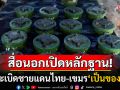 สื่อนอกเปิดหลักฐาน! ทุ่นระเบิดPMN-2ชนวนขัดแย้งไทย-กัมพูชา เพิ่งถูกนำมาวางใหม่