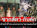 \'เจ้าหน้าที่ อช.แก่งกระจาน\'ลาดตระเวนป่า พบซากสัตว์-เก็บกู้กับดัก ขยายผลแก๊งล่า