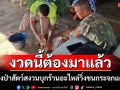 เก้งป่าสัตว์สงวนบุกร้านอะไหล่ที่ลับแลวิ่งชนกระจกแตก ชาวบ้านแห่ส่องเลขที่บ้าน