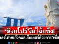 \'สิงคโปร์\'งัดไม้แข็ง! จ่อลงโทษแก๊งคอลเซ็นเตอร์ด้วยการ\'เฆี่ยน\'