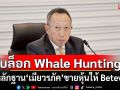 บล็อก Whale Hunting เปิดหลักฐานเมียวรภัค ขายหุ้นให้ Beteverse