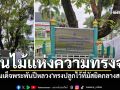 \'ต้นไม้แห่งความทรงจำ\'ที่มัสยิดกลางสตูล น้อมรำลึกในพระมหากรุณาธิคุณ\'สมเด็จพระพันปีหลวง\'