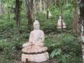 เปิดเส้นทางธรรมชาตินมัสการพระพุทธบาตรพระหัตซ้าย ดอยหนอกน้อย เมืองพะเยา