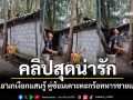 คลิปสุดน่ารัก \'มะแอ\'นกเงือกแสนรู้ คู่ซ้อมเดาะตะกร้อทหารชายแดนใต้