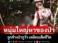 สลดช้างป่าภูวัว เหยียบชายวัย 55 ดับคาป่าหลังหายตัวไป 3 วัน ขณะออกเก็บของป่า