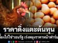 \'ผู้เลี้ยงไก่ไข่\'วอนรัฐ เร่งพยุงราคาหน้าฟาร์มด่วน เหตุราคาดิ่งแตะต้นทุน