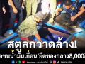 ศรชล.สตูลกวาดล้าง! ‘เรือขนน้ำมันเถื่อน’ ของกลาง 8,000 ลิตร ปรับกว่าครึ่งล้าน