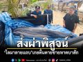 ส่งผ่าพิสูจน์! \'โลมาลายแถบ\'เกยตื้นตาย\'ชายหาดบาสัก\' พบมีบาดแผลถลอก