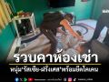 ตำรวจท่องเที่ยวเกาะพะงัน บุกรวบหนุ่ม\'รัสเซีย-ฝรั่งเศส\'พร้อมโคเคน
