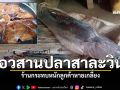 สารหนูทำพิษ! ร้านขาย\'ปลาสาละวิน\'ลูกค้าหายเกลี้ยง รอผลตรวจ7วันชี้ชะตา