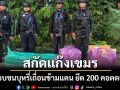ทหารพรานไล่สกัด 2 เขมรแก๊งค้าบุหรี่เถื่อนจวนตัวทิ้งบุหรี่ 200 คอตตอนก่อนหนีข้ามแดน