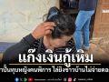 แก๊งเงินกู้เหิม! กำปั้นทุบหญิงคนพิการ ไล่ยิงชาวบ้านไม่จ่ายดอกตามนัด