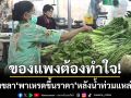 ของแพงทำใจ! ผักสงขลา ‘พาเหรดขึ้นราคา’ หลังน้ำท่วมแหล่งปลูกภาคกลาง
