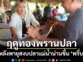 ฤดูทองพรานปลาหลังพายุผ่าน\'ปลาแดง-ปลาน้ำเงิน\'แม่น้ำน่านขึ้นพรึ่บ ตลาดพิษณุโลกคึกคัก