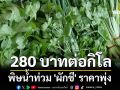 พิษน้ำท่วม! \'ผักชี\'ราคาพุ่ง 280 บาทต่อกิโล ผักต่างๆ พาเหรดขึ้นตาม