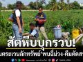 สัตหีบบุกรวบ! ‘หนุ่มตระเวนลักทรัพย์’ พบสารเสพติด-อุปกรณ์ตัดสายไฟ