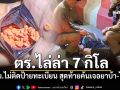 ตร.ไล่ล่า 7 กิโล จยย.ไม่ติดป้ายทะเบียน สุดท้ายค้นเจอยาบ้า-ไอซ์