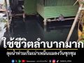 ลำบากมาก! ชาวอ่างทองเดินลุยน้ำท่วมเน่าเสีย ส่งกลิ่นเหม็นแมลงวันชุกชุม