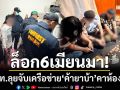 ล็อก 6 เมียนมา! ตร.ท่องเที่ยว-ตม.เกาะพะงัน ลุยจับเครือข่ายค้ายาบ้าคาห้องพัก