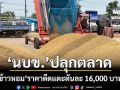 ‘พาณิชย์’ยกมาตรการ‘นบข.’ปลุกตลาด ‘ข้าวหอม’ราคาดีดแตะตันละ 16,000 บาท พุ่งขึ้น 1,000 บาท