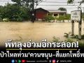 พัทลุงอ่วมอีกระลอก! น้ำป่าเทือกเขาบรรทัดไหลท่วม ‘ควนขนุน–สี่แยกโพธิ์ทอง’
