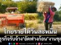 งานชุก! ธุรกิจรับจ้าง‘อัดฟางก้อน’หลังเกี่ยวข้าว โกยรายได้วันละหมื่นบาท