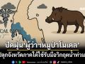 ปลุกจังหวัดภาคใต้ใช้‘ผู้ว่าฯหมูป่าโมเดล’รับมือวิกฤตน้ำท่วม ได้ผู้นำท้องถิ่นที่สั่งงาน‘เร็วกว่าน้ำ’