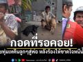 ปาฏิหาริย์กลางน้ำเชี่ยว! คุณลุงเจอน้องหมาแล้ว หลังร้องไห้จำใจหนีน้ำท่วม