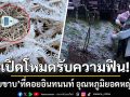 เปิดโหมดรับความฟิน! เผยภาพเหมยขาบ ที่ดอยอินทนนท์ อุณหภูมิยอดหญ้า -4.9