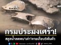 กรมประมงช็อก! สตูลน้ำลดพบ\'เต่า\'ตายเกือบ5พันตัว ส่วนจระเข้ปลอดภัยอยู่ครบ