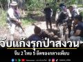 ปฏิบัติการฟ้าผ่า! ฝ่ายปกครองเลยผนึกกำลังป่าไม้ จับบุกรุกป่าสงวนฯ จีน 2-ไทย 5