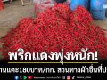 พริกแดงพุ่งหนัก! ทะยานแตะ 180 บาท/กก. สวนทางผักอื่นที่เริ่มปรับลดราคา