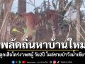 จับตา\'เสือโคร่ง\'ทับลานวัย2ปี พลัดถิ่นหาบ้านใหม่ โผล่ชายป่าวังน้ำเขียว คาดถูกเสือตัวผู้เต็มวัยไล่
