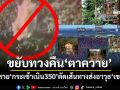 ขยับทวงคืน‘ปราสาทตาควาย’! กองทัพทำลาย‘กระเช้าเนิน350’ตัดเส้นทางส่งอาวุธ‘เขมร’