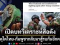 เปิดบทวิเคราะห์สื่อดัง เหตุใดไทย-กัมพูชากลับมาสู้รบกันอีกครั้ง  หากหยุดสงครามต้องยุติทุ่นระเบิด
