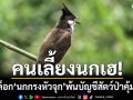 คนเลี้ยงนกเฮ! มีมติปลดล็อก​ นกกรงหัวจุก พ้นบัญชี​สัตว์ป่า​คุ้มครอง​ เพาะเลี้ยง​ได้