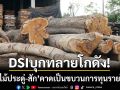 ดีเอสไอทลายโกดัง! ‘ยึดไม้ประดู่-สักล็อตใหญ่’ คาดเป็นขบวนการทุนรายใหญ่