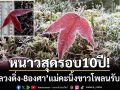 หนาวสุดในรอบ 10 ปี! ภูหลวงดิ่ง -8 องศาฯ ‘แม่คะนิ้ง’ ขาวโพลนรับอรุณ