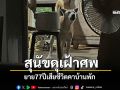 ยาย77ปีเสียชีวิตคาบ้านพัก สุนัขดุเฝ้าศพไม่ห่าง กู้ภัยต้องโดดหนีกระเจิง