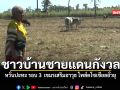 ชาวบ้านชายแดนกังวล หวั่นปะทะ รอบ 3  เขมรเสริมอาวุธ โพส์ตโซเชียลยั่วยุ