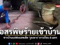 อสรพิษร้ายเข้าบ้าน ชาวบ้านแห่ส่องเลขเด็ด งูจงอาง ยาวเกือบ 4 เมตร