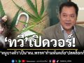 ‘ทวี’เปิดวอร์! เหน็บ‘หนูบางตัว’เป็น‘หน.พรรคการเมือง’ทำมหันตภัย‘ปลดล็อกกัญชาเสรี’