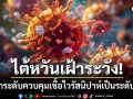 ไต้หวัน ยกระดับควบคุมการติดเชื้อไวรัสนิปาห์เป็นระดับ 5 หลังพบระบาดในอินเดีย