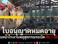 ใบอนุญาตหมดอายุ 4 วัน เกิดเหตุสลด คืบหน้าโรงงานพลุสุพรรณระเบิด ดับ 1 เจ็บ 3